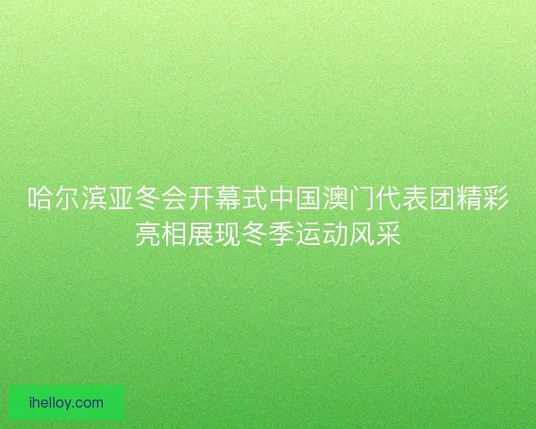 哈尔滨亚冬会开幕式中国澳门代表团精彩亮相展现冬季运动风采